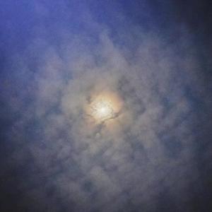 另类最猛性xxxxx
